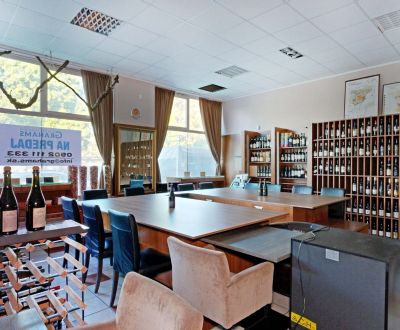 Eladó Üzlethelység, Üzlethelység, Bratislava - Podunajské Biskupice, S