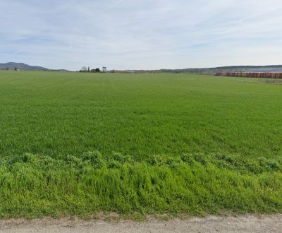 Eladó Telkek - kereskedelmi célra, Telkek - kereskedelmi célra, Nitra,
