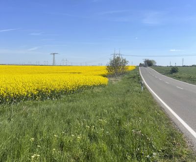 Eladó Mezőgazdasági és erdei telkek, Mezőgazdasági és erdei telkek, Tr