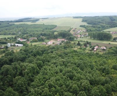 Eladó Mezőgazdasági és erdei telkek, Mezőgazdasági és erdei telkek, Ve