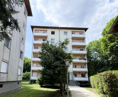 Eladó 2 szobás lakás, 2 szobás lakás, Schulstraße, Neusiedl am See, Au