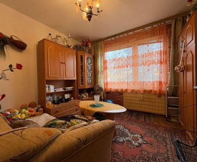 Eladó 2 szobás lakás, 2 szobás lakás, Kremnická, Nitra, Szlovákia