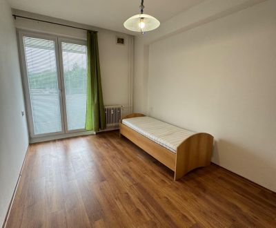 Eladó 2 szobás lakás, 2 szobás lakás, Mládežnícka, Považská Bystrica, 