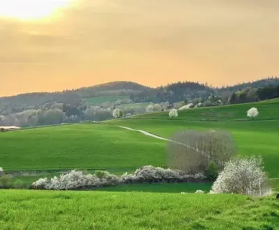 Eladó Mezőgazdasági és erdei telkek, Banská Bystrica, Szlovákia