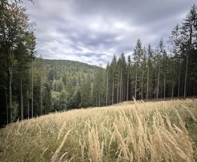 Eladó Mezőgazdasági és erdei telkek, Trenčín, Szlovákia
