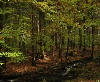 Eladó Mezőgazdasági és erdei telkek, Liptovský Mikuláš, Szlovákia