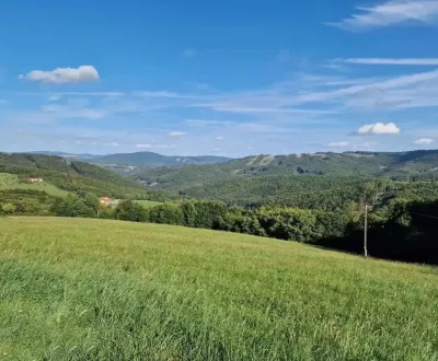 Eladó Mezőgazdasági és erdei telkek, Trenčín, Szlovákia