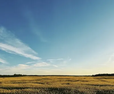 Eladó Mezőgazdasági és erdei telkek, Pezinok, Szlovákia