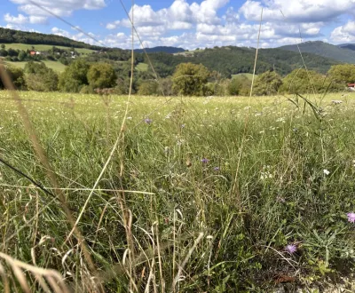 Eladó Mezőgazdasági és erdei telkek, Banská Bystrica, Szlovákia