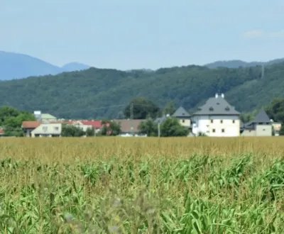 Eladó Mezőgazdasági és erdei telkek, Banská Bystrica, Szlovákia