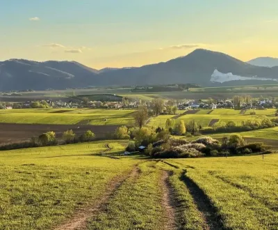 Eladó Mezőgazdasági és erdei telkek, Žilina, Szlovákia