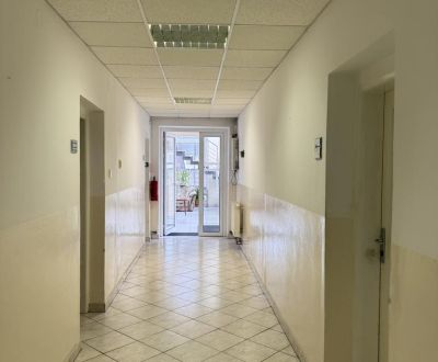 Kiadó Irodahelység, Irodahelység, Šenkvická cesta, Pezinok, Szlovákia