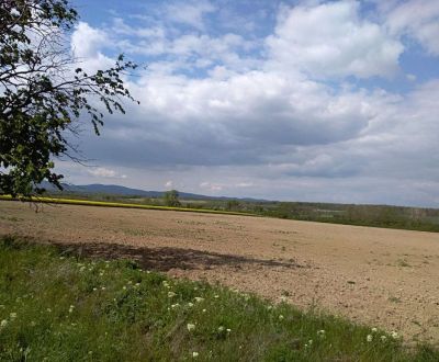 Vásárlás Szállodák és panziók, Szállodák és panziók, Trnava, Szlovákia
