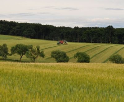 Vásárlás Mezőgazdasági és erdei telkek, Mezőgazdasági és erdei telkek,