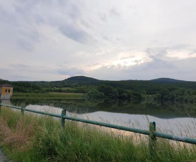 Eladó Mezőgazdasági és erdei telkek, Mezőgazdasági és erdei telkek, Ku