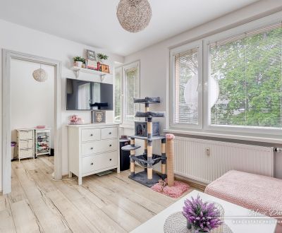 Eladó 1 szobás lakás, 1 szobás lakás, Čajkovského, Trnava, Szlovákia