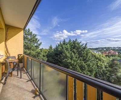 Eladó 2 szobás lakás, 2 szobás lakás, Ďurgalova, Bratislava - Nové Mes