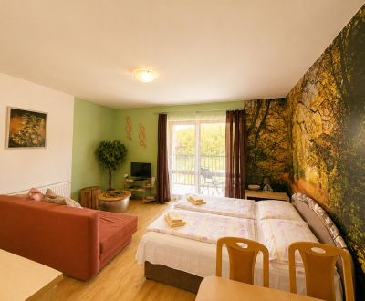 Eladó 1 szobás lakás, 1 szobás lakás, Liptovský Mikuláš, Szlovákia