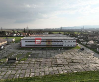 Kiadó Ipari ingatlan, Ipari ingatlan, Pezinská, Pezinok, Szlovákia