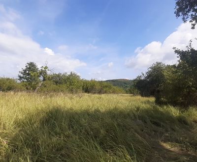 Eladó Üdülőtelkek, Üdülőtelkek, Horné Jabloňovce, Levice, Szlovákia
