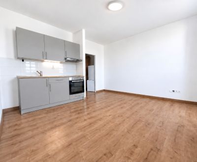 Eladó Garzonlakás, Garzonlakás, Znievska, Bratislava - Petržalka, Szlo