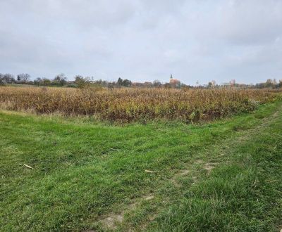 Eladó Kertek, Kertek, Mast, Malacky, Szlovákia