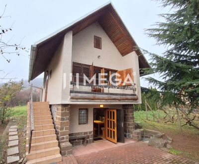 Eladó Nyaraló, Nyaraló, Vinné 9070, Michalovce, Szlovákia