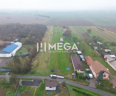 Eladó Mezőgazdasági és erdei telkek, Mezőgazdasági és erdei telkek, Pu
