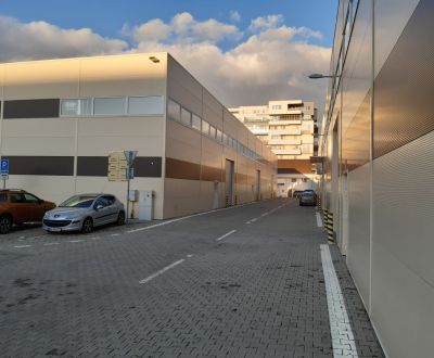 Kiadó Raktárak és ipari épületek, Raktárak és ipari épületek, Podunajs