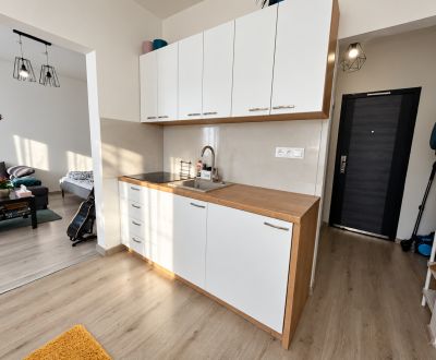 Eladó 1 szobás lakás, 1 szobás lakás, Lazovná, Banská Bystrica, Szlová