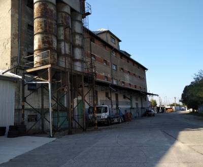 Kiadó Különleges ingatlanok, Galanta, Szlovákia