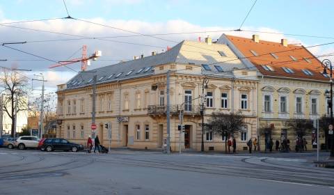 Üzlethelység, Hviezdoslavova, eladó, Košice - Staré Mesto, Szlovákia