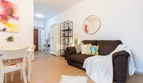Kiadó 4 szobás lakás, 4 szobás lakás, Grösslingova, Bratislava - Staré