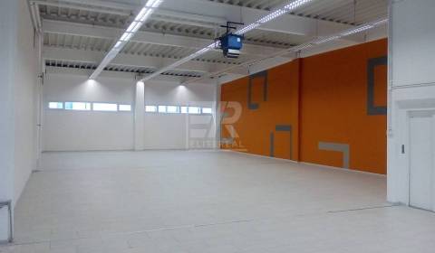 Kiadó Raktárak és ipari épületek, Raktárak és ipari épületek, Stará Va