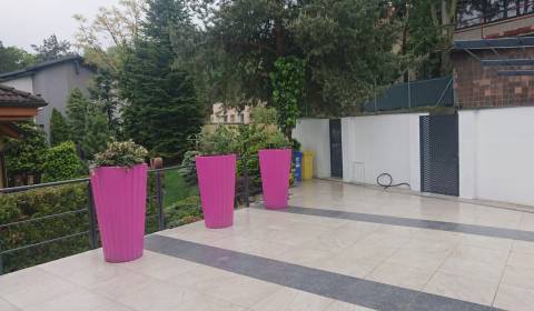 Kiadó 4 szobás lakás, 4 szobás lakás, Matúšová, Bratislava - Staré Mes