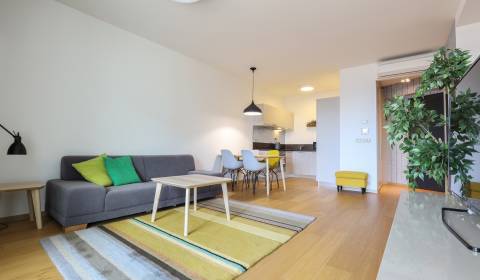 Kiadó 2 szobás lakás, 2 szobás lakás, Landererova, Bratislava - Staré 