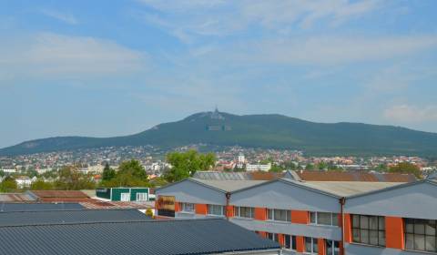 Irodahelység, Levická, kiadó, Nitra, Szlovákia