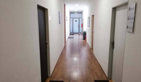 Kiadó Irodahelység, Irodahelység, Nitra, Szlovákia