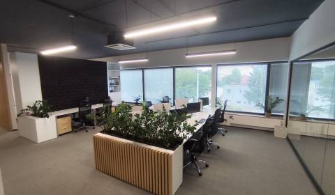 Kiadó Irodahelység, Irodahelység, Nitra, Szlovákia