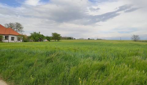 Építési telek, Malé Zálužie, eladó, Nitra, Szlovákia