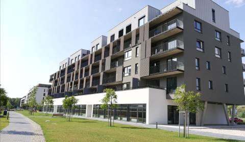 1 szobás lakás, Fialová, eladó, Bratislava - Petržalka, Szlovákia
