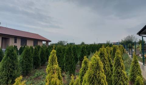 Építési telek, eladó, Nitra, Szlovákia