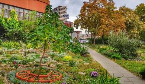Kétszobás garzonlakás, Vavilovova, eladó, Bratislava - Petržalka, Szlo