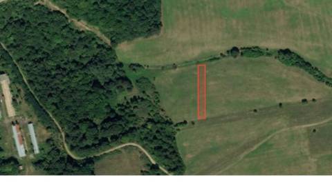 Eladó Mezőgazdasági és erdei telkek, Mezőgazdasági és erdei telkek, Ži