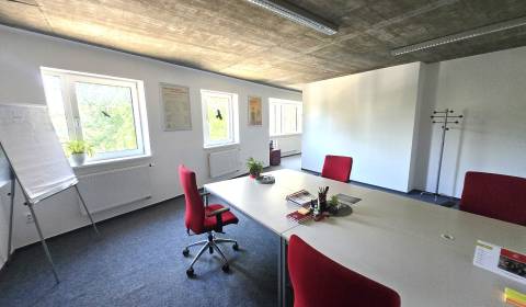 Kiadó Irodahelység, Irodahelység, Nitra, Szlovákia