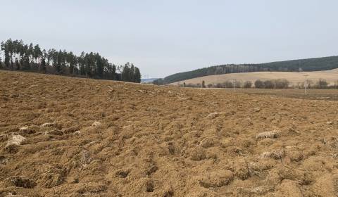 Mezőgazdasági és erdei telkek, eladó, Spišská Nová Ves, Szlovákia