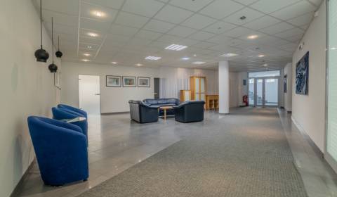 Kiadó Irodahelység, Irodahelység, Štetinová, Bratislava - Staré Mesto,