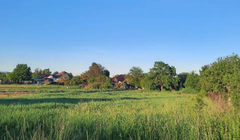 Építési telek, Vajka nad Žitavou, eladó, Nitra, Szlovákia
