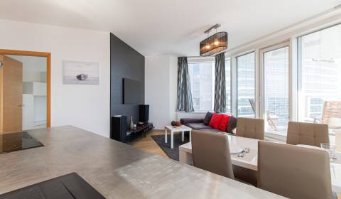 Kiadó 4 szobás lakás, 4 szobás lakás, Landererova, Bratislava - Staré