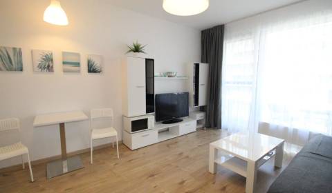 1 szobás lakás, Zuzany Chalupovej, kiadó, Bratislava - Petržalka, Szlo
